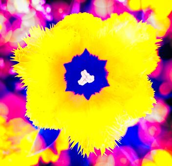 Bright hope - Free image #480283